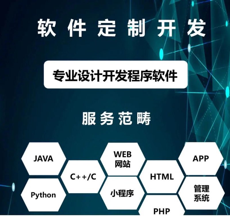 定制软件开发:未来企业增长的引擎